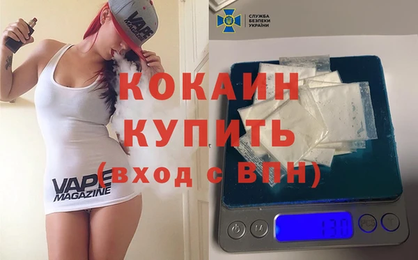 соль ск Каменногорск