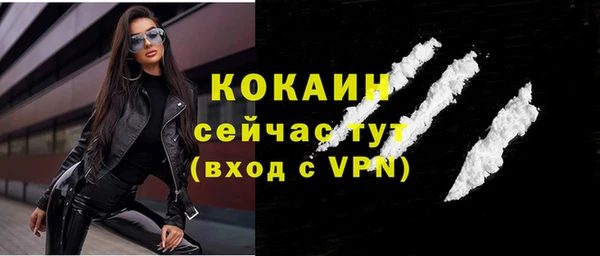 соль ск Каменногорск
