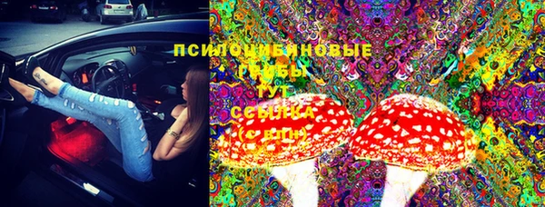 каннабис Каменка